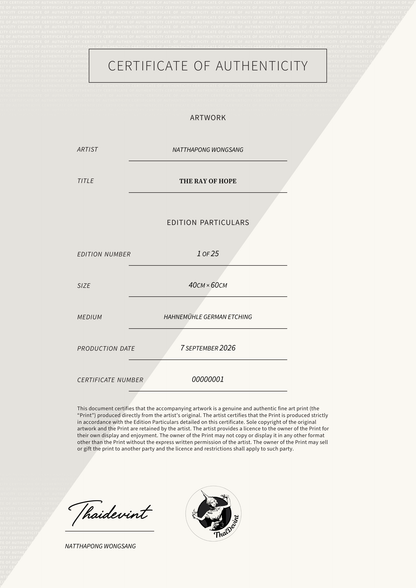 The Ray of Hope — Certificate of Authenticity